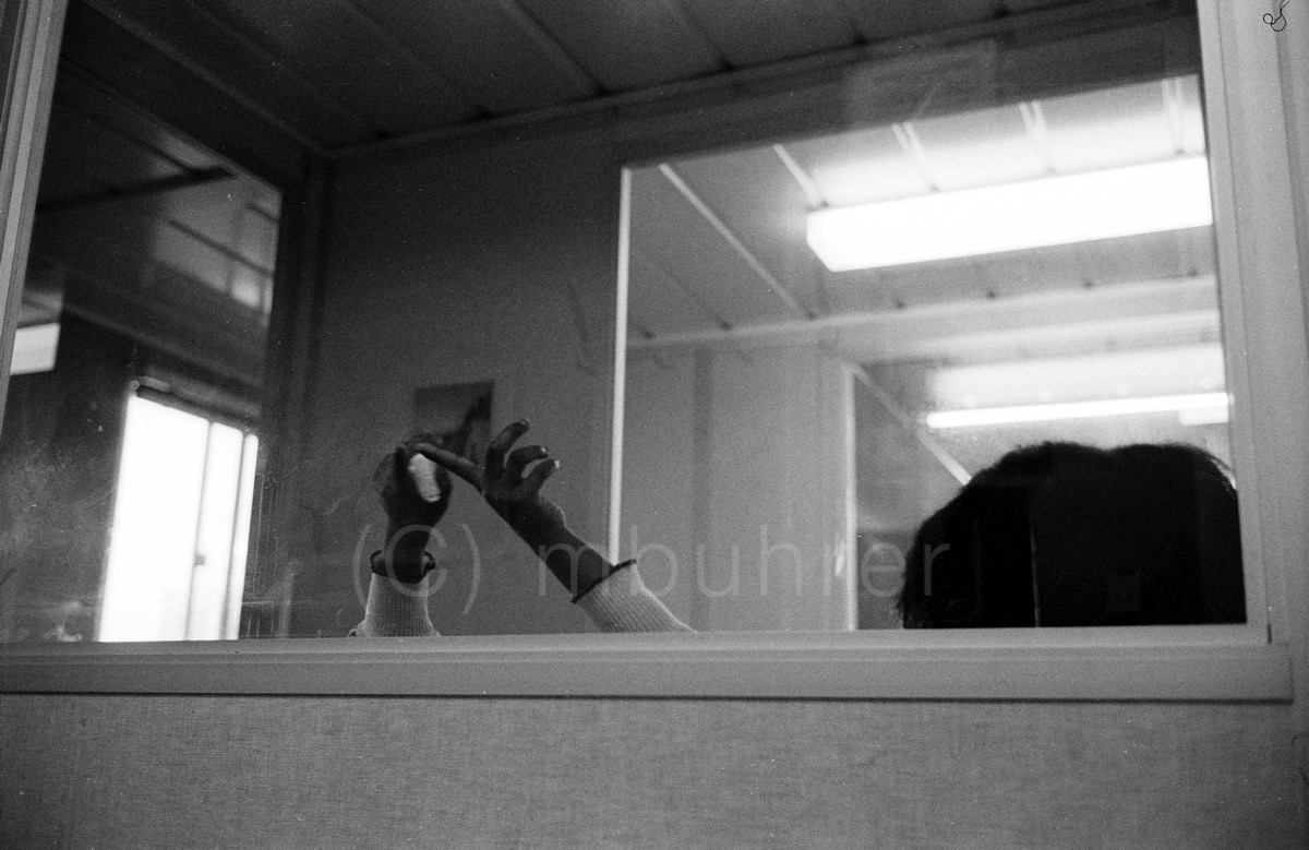 Centre d'enregistrement des requérants d'asile/Asylum seekers registration center, Geneva (CH), 24.09.1991