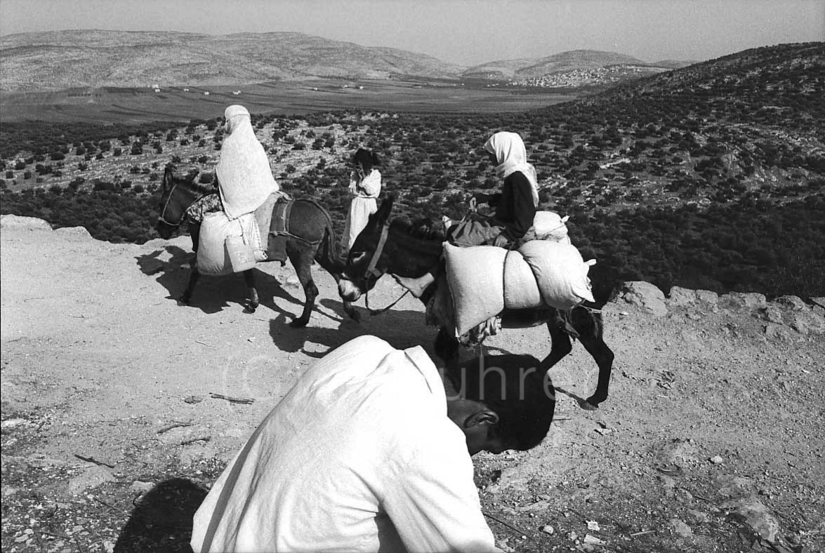 Beit Furik, Palestine, 10.1988