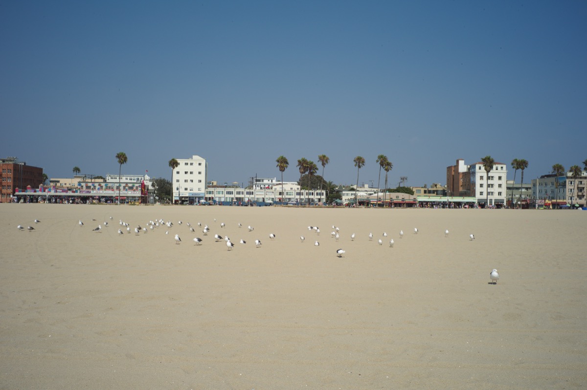 Venice Beach, Santa Monica, California08.2016